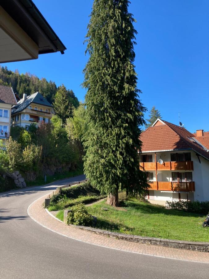 Haus Sonne Appartement Todtmoos Buitenkant foto